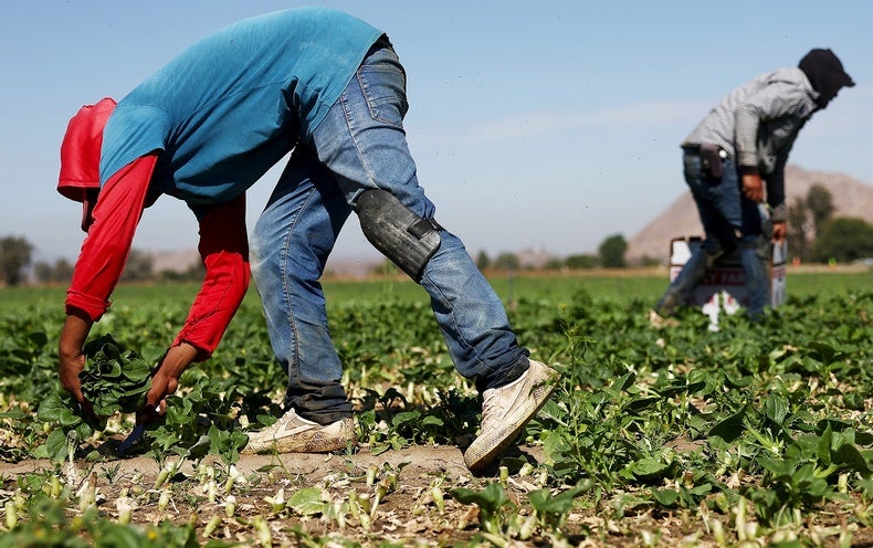 Working in Extreme Heat Is Dangerous. We Must Make It Safer