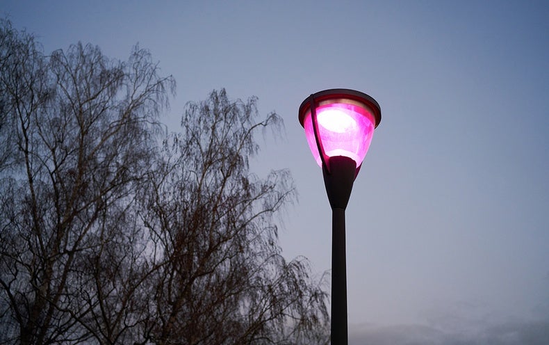 Streetlights Are Mysteriously Turning Purple. Here's Why