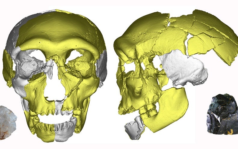 Possible New Human Species Found through 300,000-Year-Old Jawbone Fossil