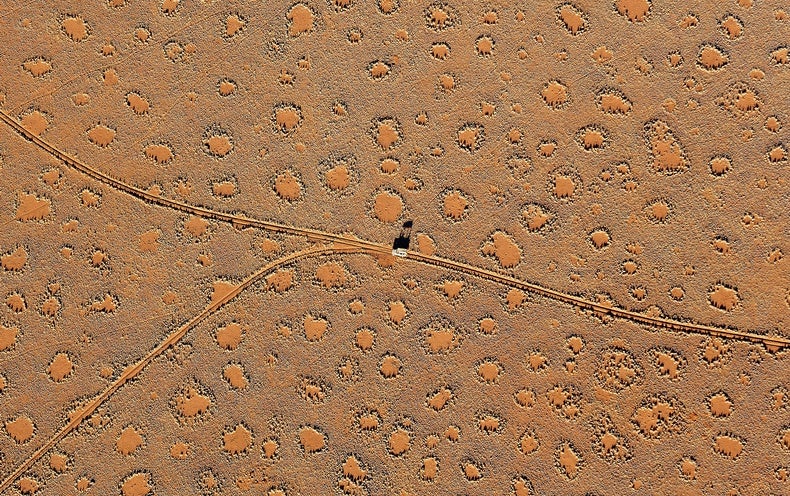 Thousands More Puzzling 'Fairy Circles' Have Been Found around the World