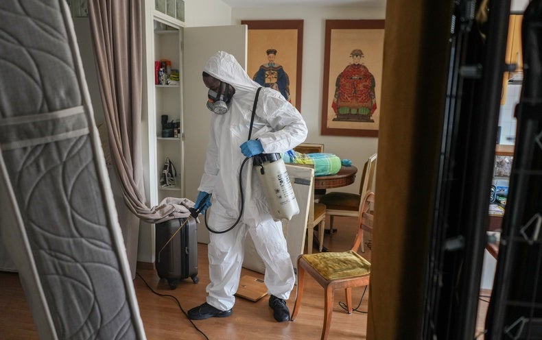 Bed Bugs and Influencers Spark Pest Panic in Paris. Here's What You Need to Know